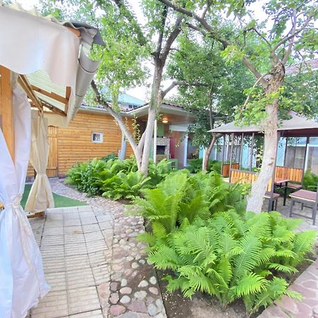 Osobyi Guest House شولبون آتا المظهر الخارجي الصورة